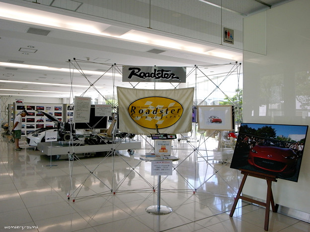 R0018066ntj