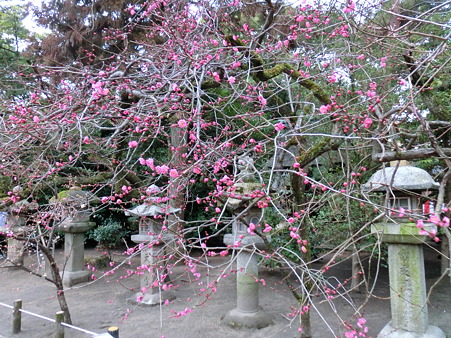 CIMG0357
