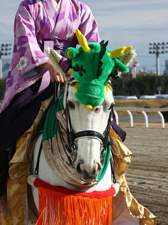 川崎競馬の誘導馬０１月開催　龍Ｖｅｒ-20