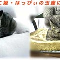 2005/5/6-2 にゃんこ姫にゃ！？