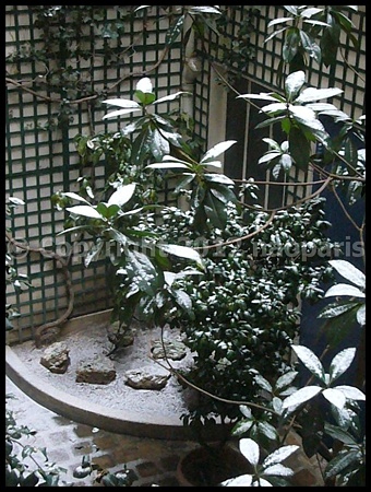 P3000140