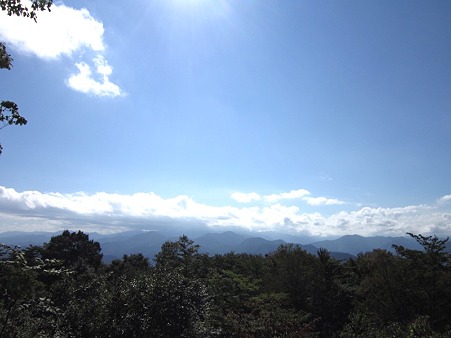 空山緑
