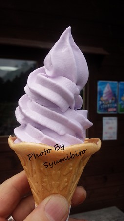 ラベンダーソフトクリーム(スマホにて撮影)