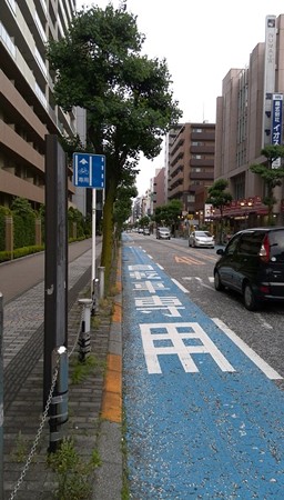 相模原駅 付近 自転車道&標識