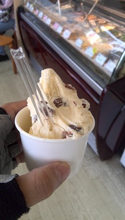ラムレーズンはおいしい ジェラート 飯田牧場