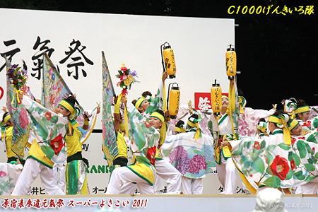 C1000げんきいろ隊_26 - 原宿表参道元氣祭 スーパーよさこい 2011