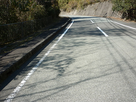P1010560