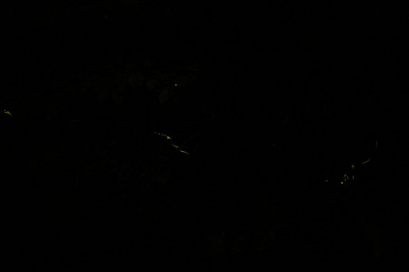 DSC01065