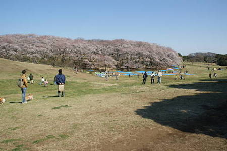 DSC05010