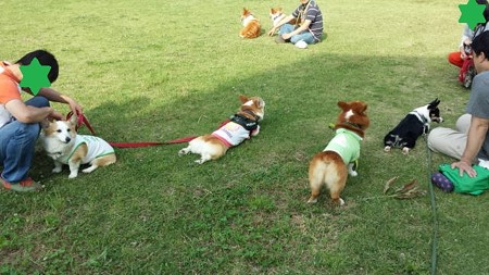 20150517_160305