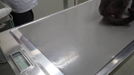 20150530_102433