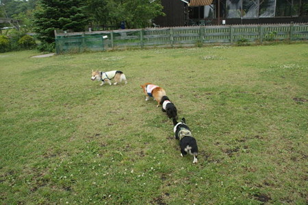 DSC04859