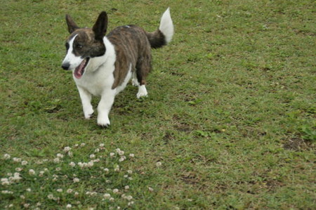 DSC04970