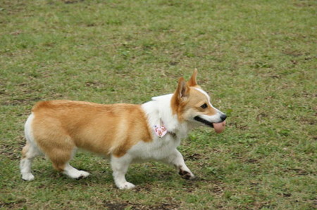 DSC05017