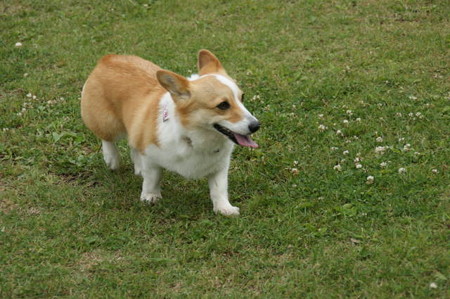DSC05062