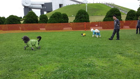 20150621_143440