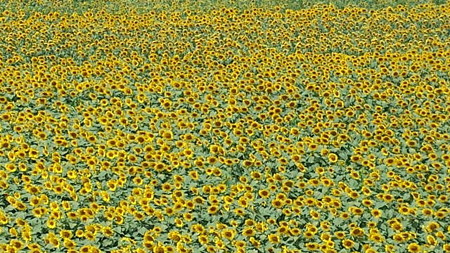 20150814_102410