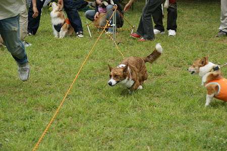 DSC00891