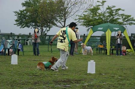 DSC01352