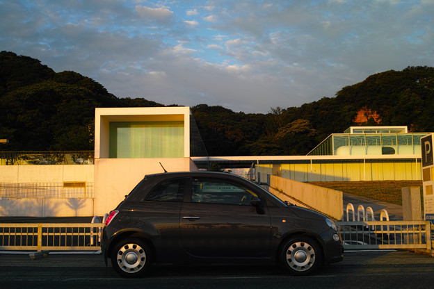 DP2M0973