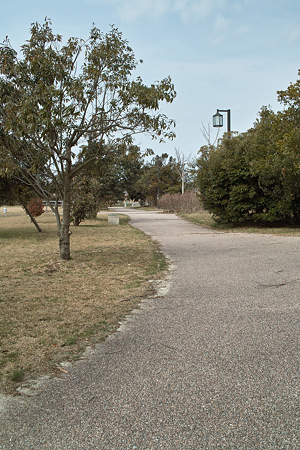 Yayoi_Park03042012dp2-08