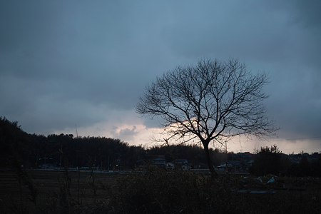 Dawn03112012dp2