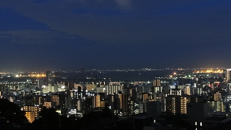 DSC00239