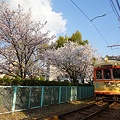 Photos: お城と桜と路面電車