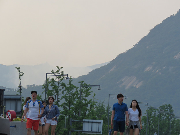 resize3472 写真: resize3472