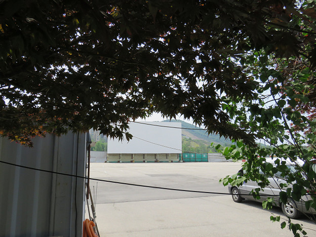 resize3600 写真: resize3600