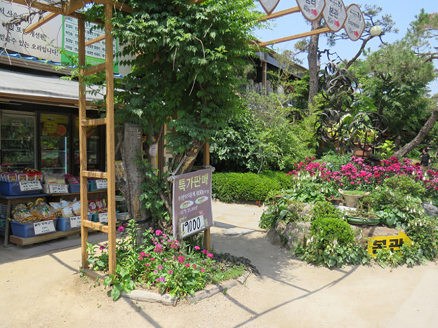 resize3690 写真: resize3690