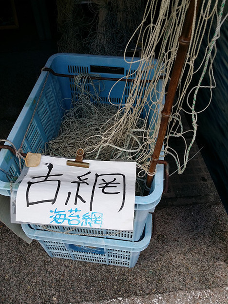 resize3565 写真: resize3565