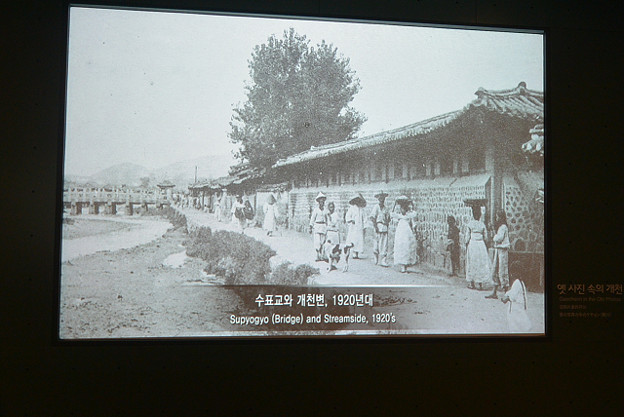 resize4389 写真: resize4389