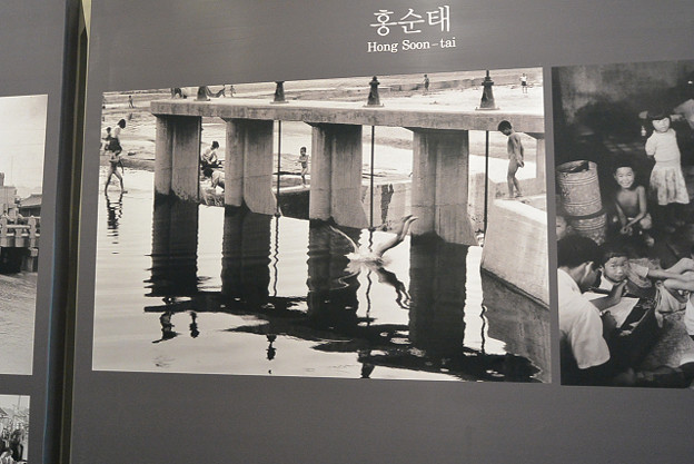 resize4397 写真: resize4397