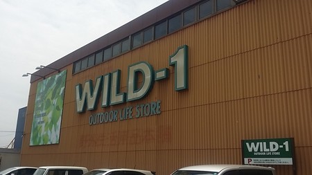 20150629_002Wild1