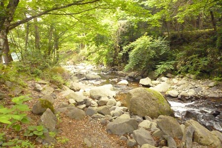 20150629_022Site