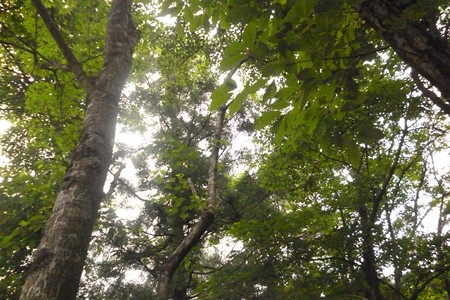 20150629_024Site