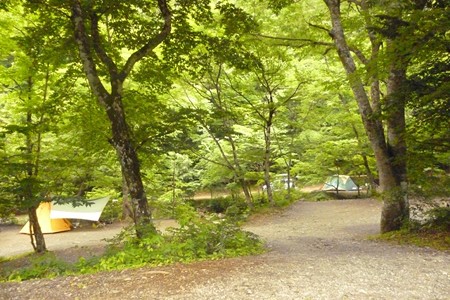 20150630_087Site