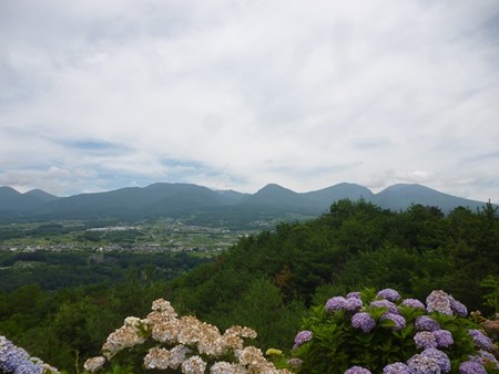 20150719_065AgurinNoSato