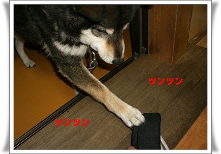 ツンツン