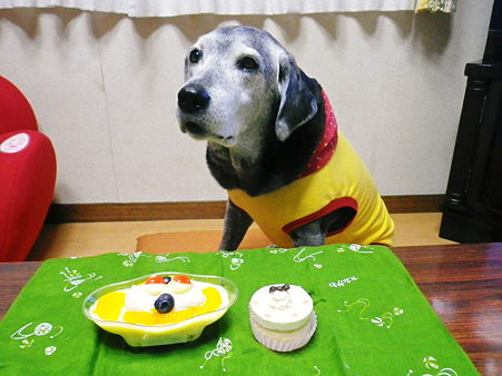 もも