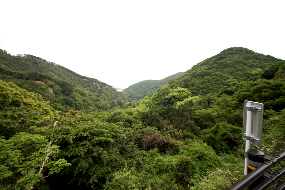 淡路島　サイクリング