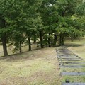 P1060574
(800x534) 写真: P1060574 (800x534)