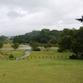 P1060629
(800x534) 写真: P1060629 (800x534)
