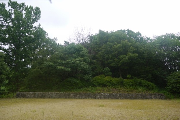 P1060550 (800x534) 写真: P1060550
(800x534)