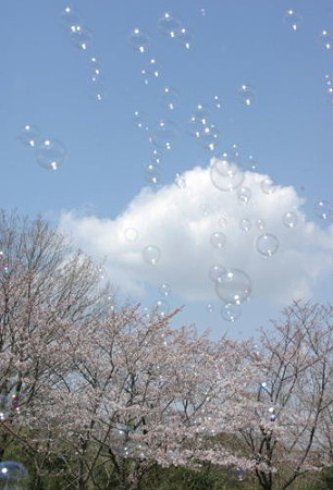 IMGP0014_0407