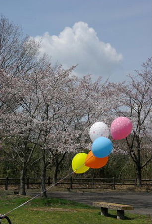 IMGP0056_0407