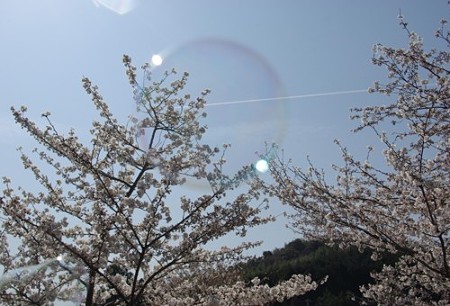 IMGP0344_0408a