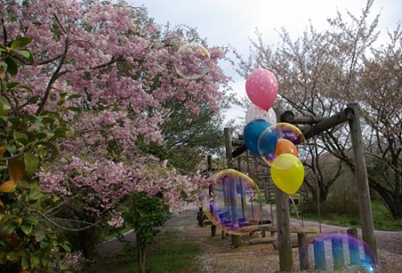 IMGP0090_0415