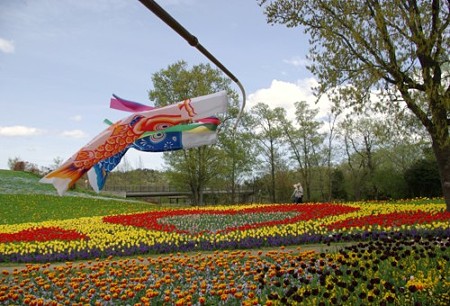 IMGP0172_0421